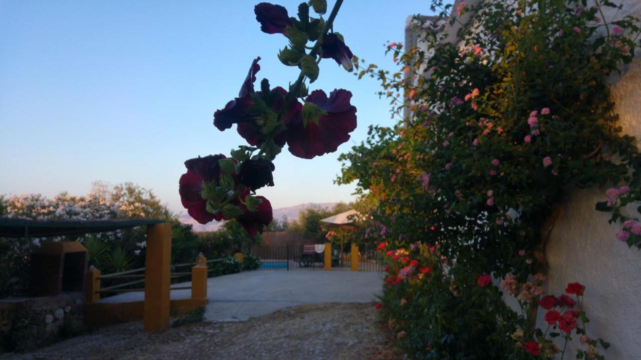 Casa Rural Huerta La Lapa Canete la Real Exteriör bild