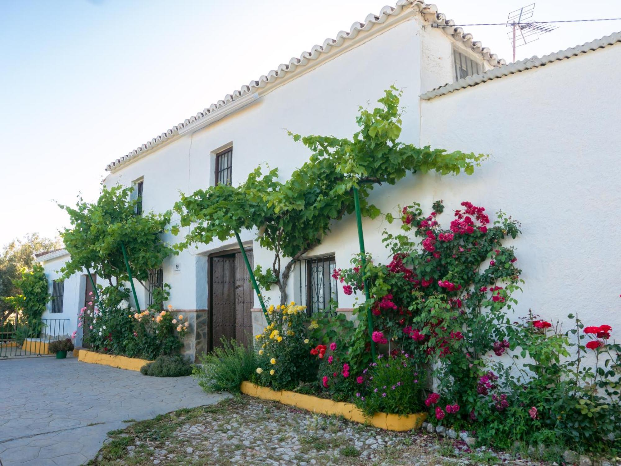 Casa Rural Huerta La Lapa Canete la Real Exteriör bild